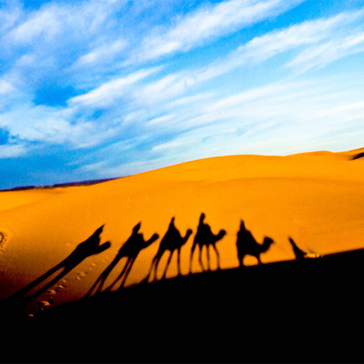 Camel Excursions Merzouga Morocco