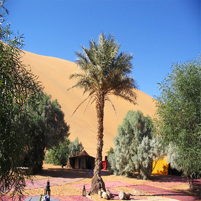 Merzouga desert bivouac Morocco