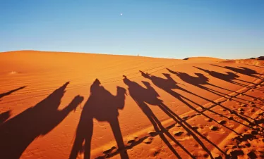 Best 3-Day Marrakech to Merzouga Tour