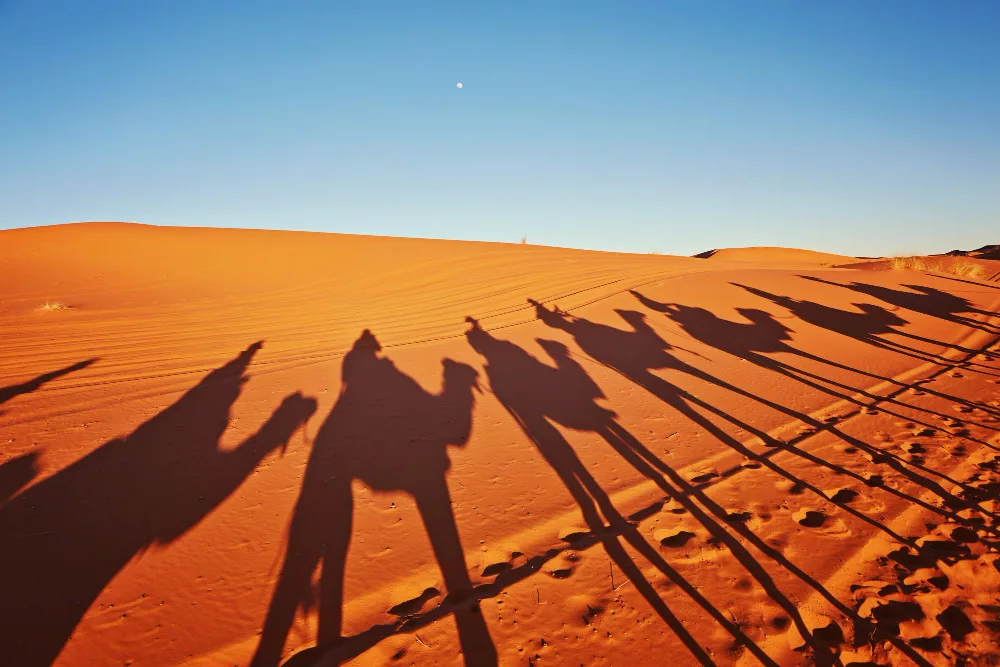 Best 3-Day Marrakech to Merzouga Tour