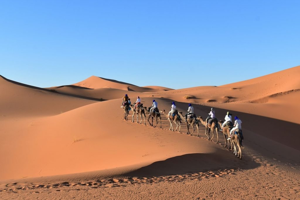 tours privados y aventuras en el desierto,
