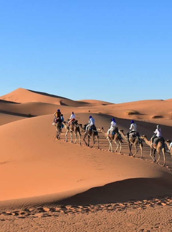 tours privados y aventuras en el desierto,